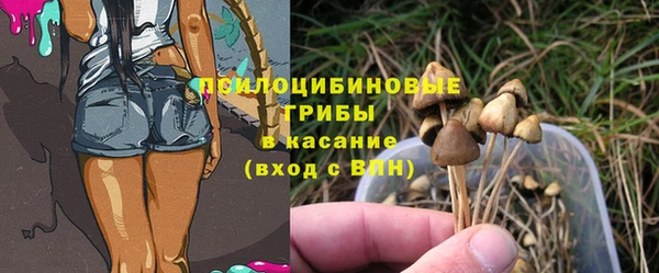 кокс Михайлов