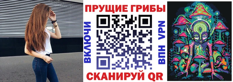 Псилоцибиновые грибы GOLDEN TEACHER  MEGA сайт  Реж 