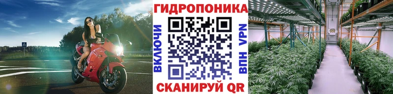 mega зеркало  купить наркотики сайты  Реж  МАРИХУАНА Ganja 